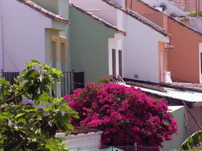 Spain1039_2005.jpg
