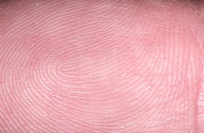 Thumb-print-0328.jpg