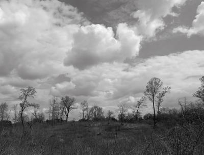 Windswept Prairie Ridge