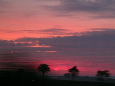 DSCN4800.jpg