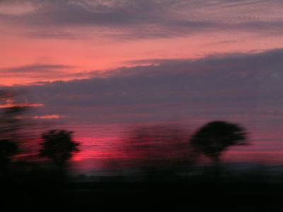 DSCN4804.jpg