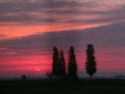 DSCN4815.jpg