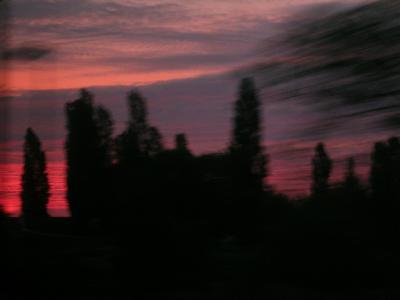 DSCN4816.jpg