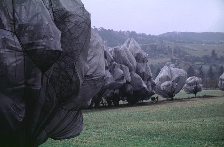 Christo - Wrapped trees