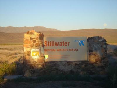 Stillwater National Refuge