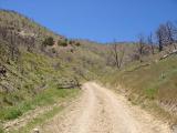 On my way up Fairview Peak in Nevada