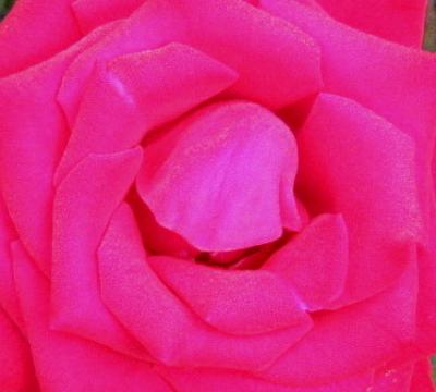 IMG_1723.jpg