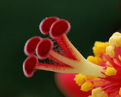 u26/ed_k/medium/31728895.pad_24DSC_4246.jpg