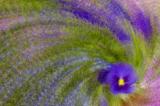 5/18/05 - Into the Yellow Hole