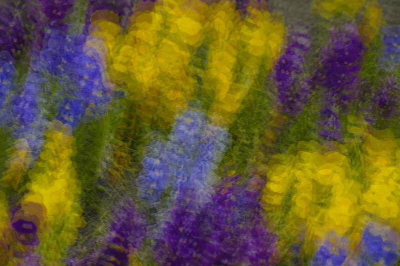 5/12/05 - Multiple Exposure