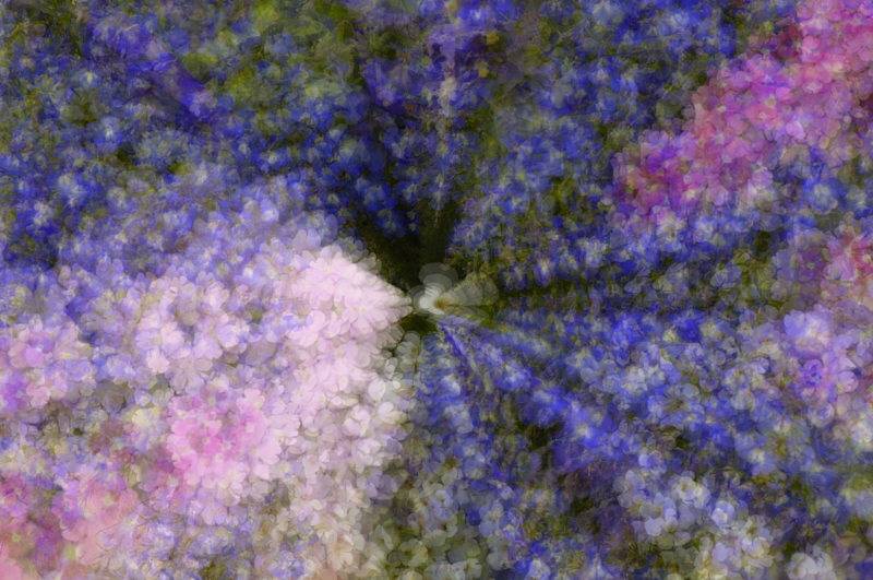5/13/05 - Multiple Exposure (Zooming)