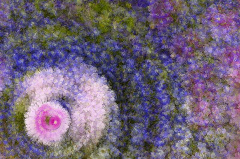 5/13/05 - Multiple Exposure (Rotating)