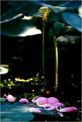 20040421-e.jpg
