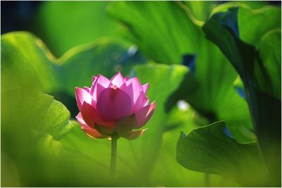 20040720-E.jpg