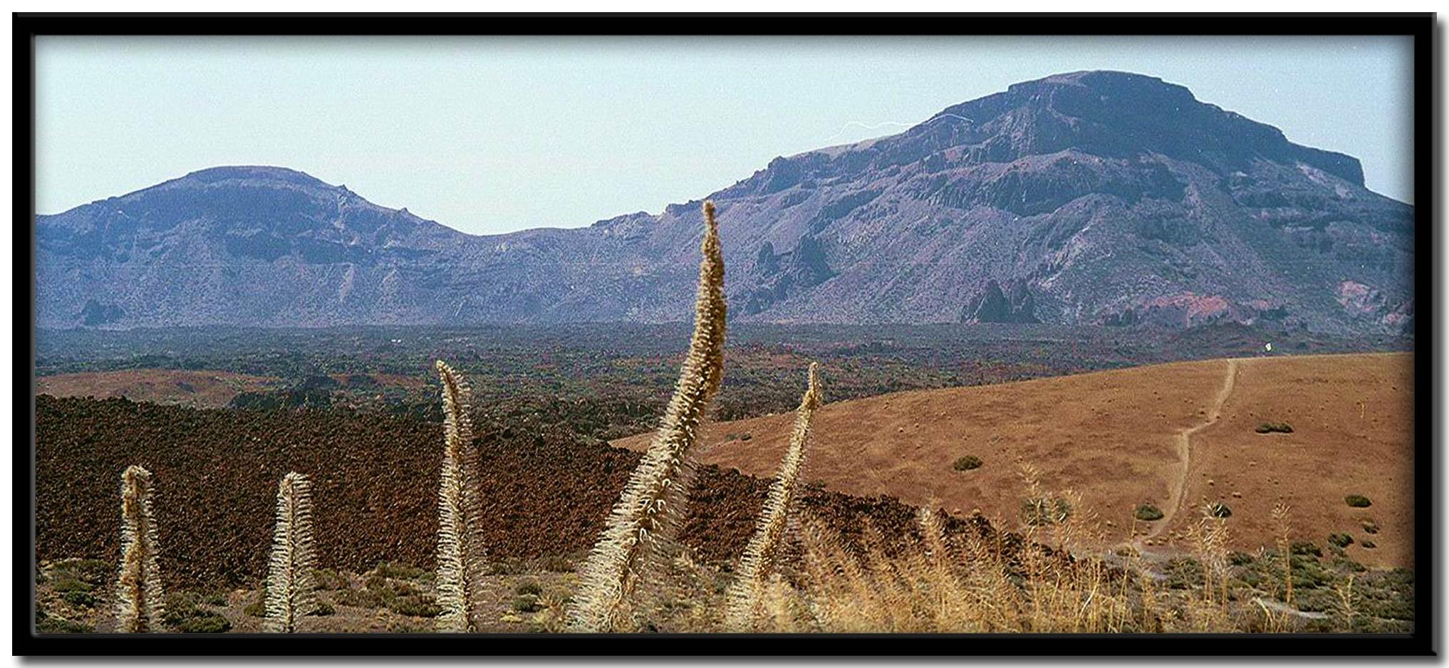 Tenerife. Las Caadas del Teide.