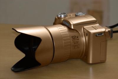 Camera _ Panasonic Gold.jpg