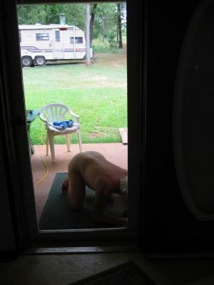 M cajoling the front door to open/close properly