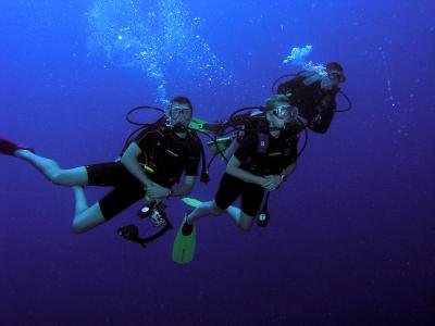 Diverse Divers