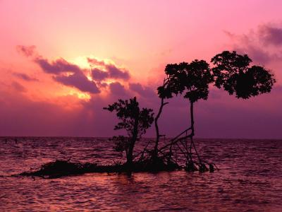 Sunrise at Cay Caulker