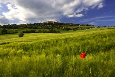 near Pienza