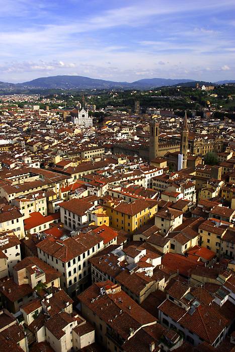 Florence from above