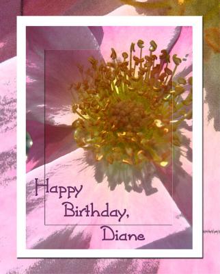 Diane - May 24