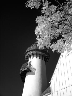 Marina del Rey, CA fisherman's village