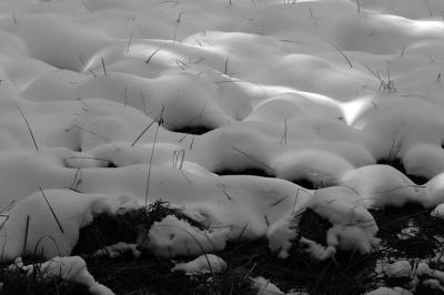 B & W Lumpy Cake Frosting Snow