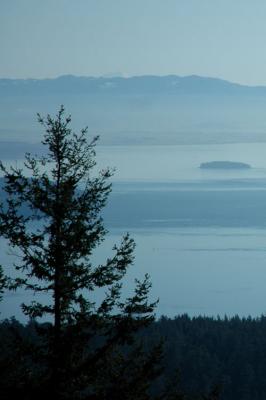 View Towards Darrington