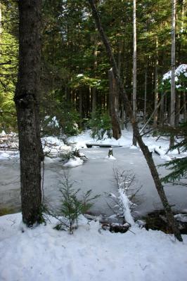 Frozen Tarn