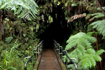 Lava Tube Entrance