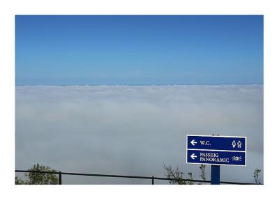 Bienvenidos al cielo