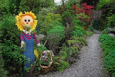 25th May 05 Sunflower Garden