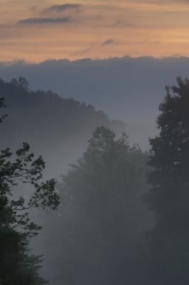 Rising fog
