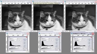 black-and-white-comparison.jpg