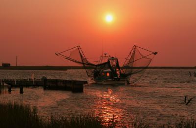 IMG_4486cr1.jpg