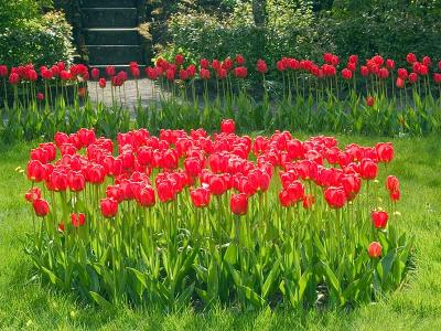 In Parliment Garden