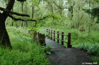 Footbridge in Mt Pisgah Park