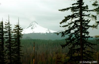 Mt. Washington