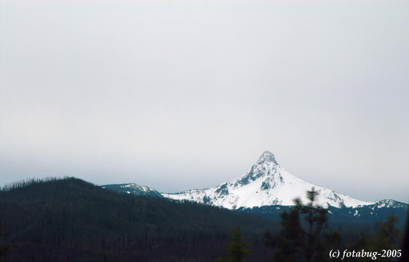 Mt. Washington