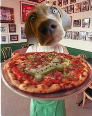 pizza_pup.jpg