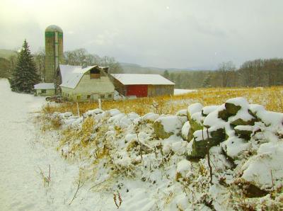 Ascutney View Farm