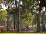 Riding Along the Yarkon River