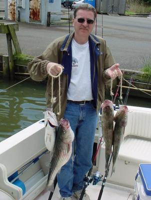 5/22/2005 Vic Negowski with limit of nice stripers from 23 to 25 caught onboard the Down Time