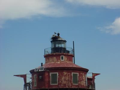 Craighill Lighthouse - osprey rookery - Down Time Charters