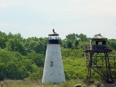 Pooles Island : Down Time Charters