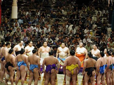 Sumo Wrestling - Toyko