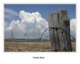 Towering Cumulonimbus Clouds