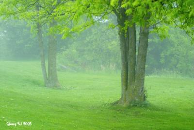 406_0640_650.jpg