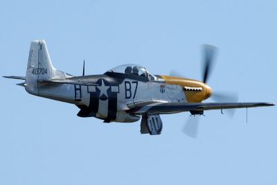 P51D